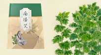 【行業(yè)資訊】國內(nèi)首部艾草專著《南陽艾》，在南陽新書首發(fā)！